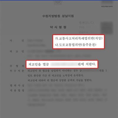 음주운전 사고(2중 추돌), 변호인 조력으로 벌금형 이끌어내